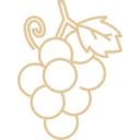 grape_7315532